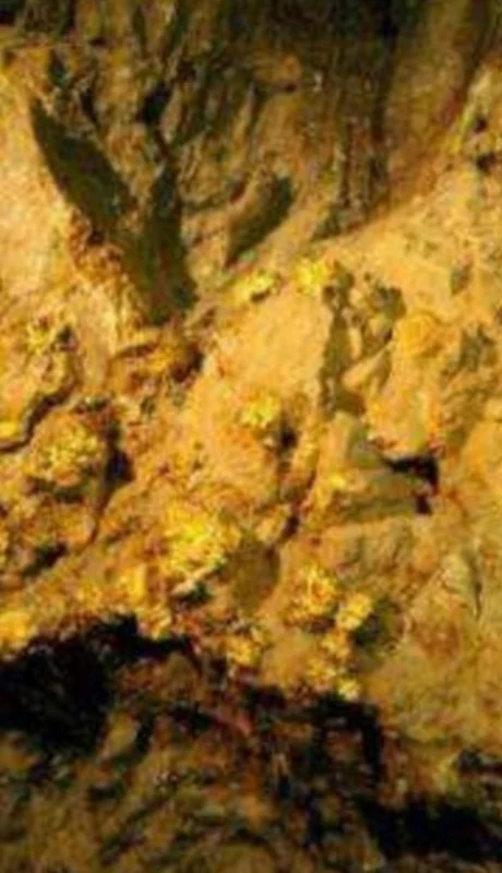 China descubrió un yacimiento histórico de oro