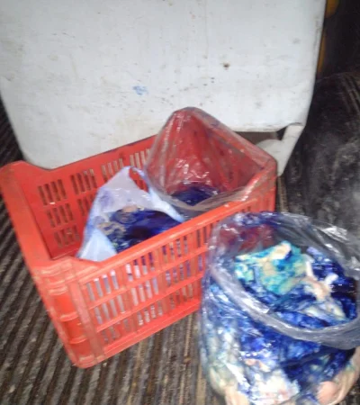 En distintos procedimientos realizados en Tupungato y San Carlos se incautó 15 kilos de carne en mal estado/