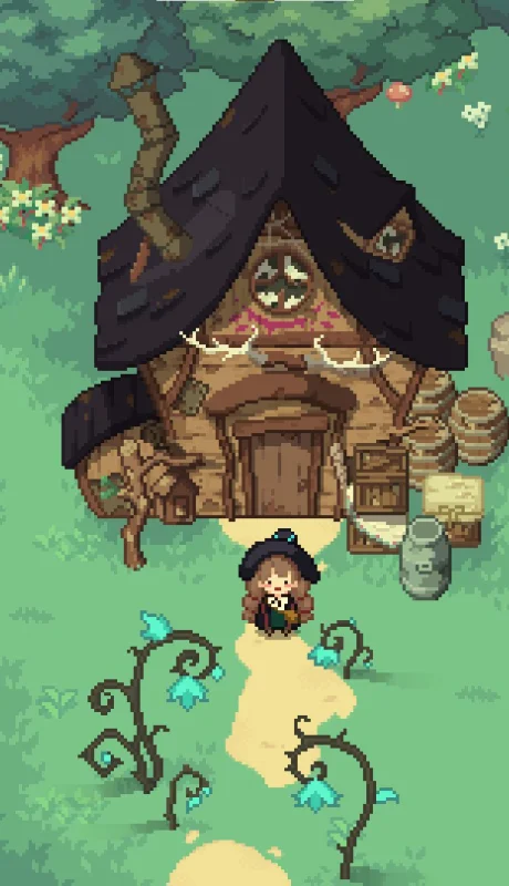 Little Witch in the Woods