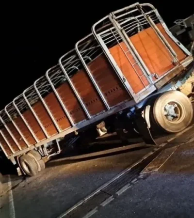 Este camión ganadero volcó en la ruta al chocar con un utilitario. (Foto: gentileza Crónica)