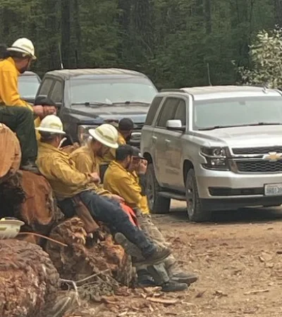 Las cuadrillas colaboraban asistiendo a la población afectada por el frente de llamas, pero apareció migraciones./