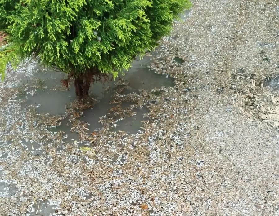 Granizo en la zona Este de Mendoza/ Gentileza Mariana Gutiérrez
