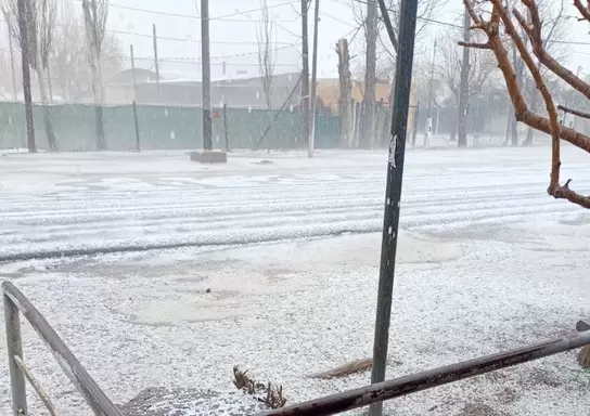 Granizo en la zona Este de Mendoza / Gentileza:X