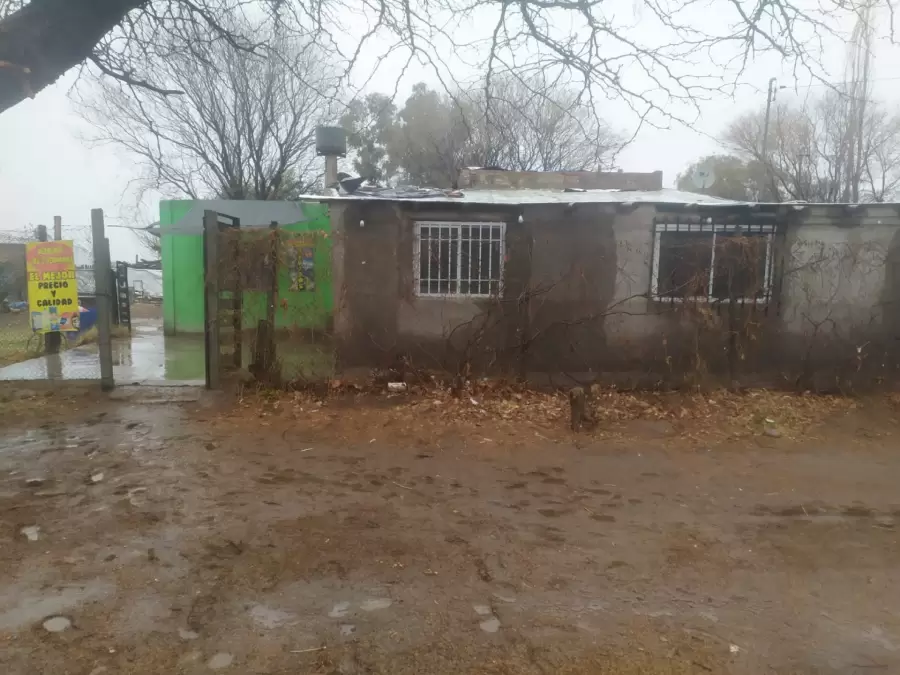 whatsapp image 2025-08-31 at 14.28.06