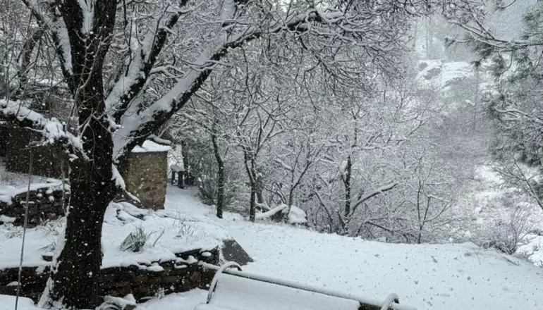 Nieve en San Luis/ Fuente: X