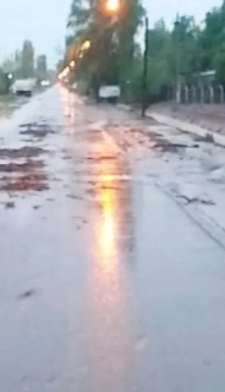 La DGE suspendió las clases en tres departamentos mendocinos/ Fuente: DGE