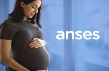 Asignación por Embarazo: fechas y montos con aumento en septiembre 2025