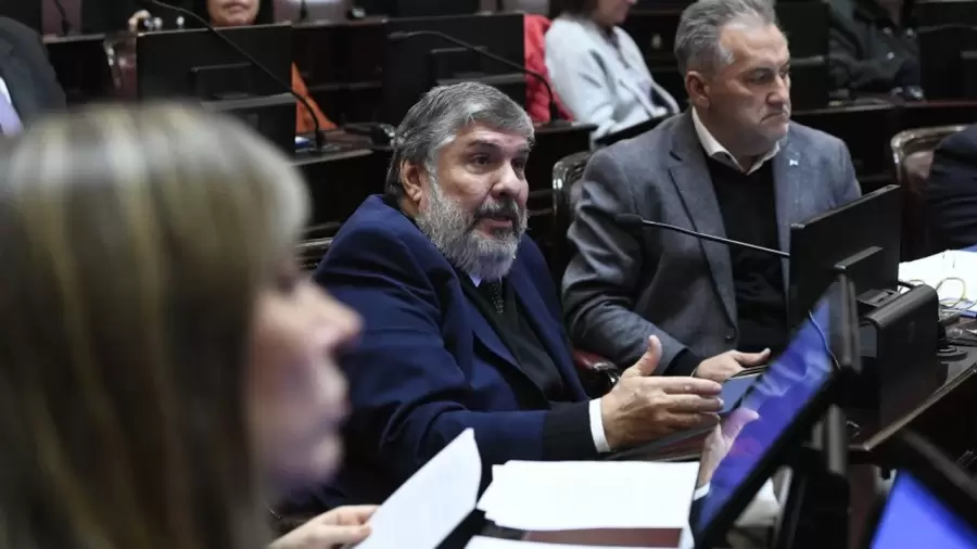 Iniciativa de la oposición peronista