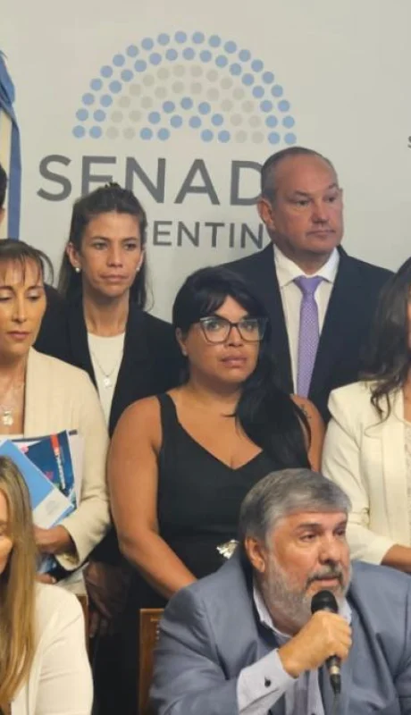 Unión por la Patria reúne parte de la mayoría./