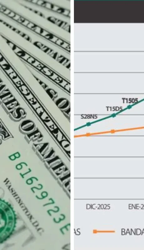 ¿Fin de las bandas cambiarias? Los riesgos de un cambio de régimen en plena campaña.