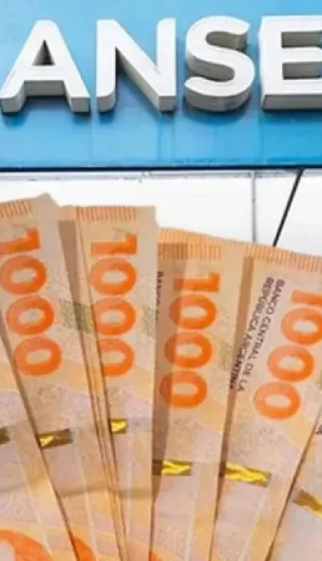 Estas asignaciones de ANSES tienen dos cronogramas de pago distintos cada mes.