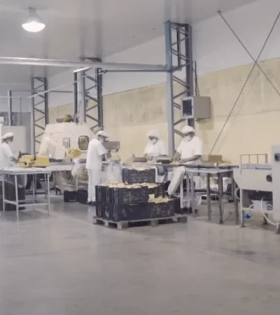 Alto porcentaje de pymes industriales