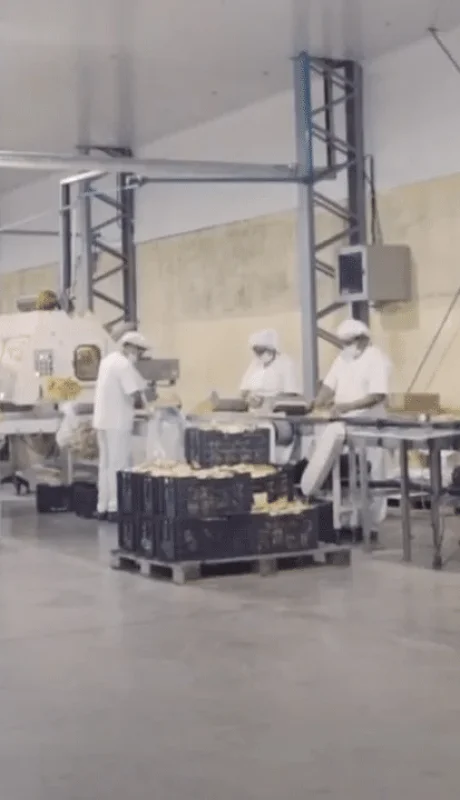 Alto porcentaje de pymes industriales