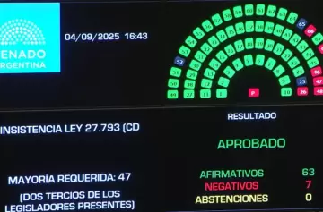 El Senado rechazó el veto de Milei y reactivó la ley de emergencia en discapacidad