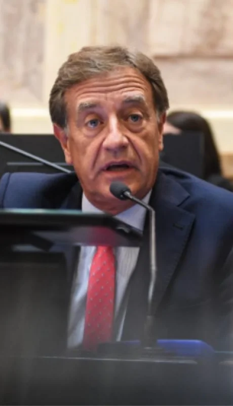 Anabel Fernández Sagasti, Rodolfo Suárez y Mariana Juri.