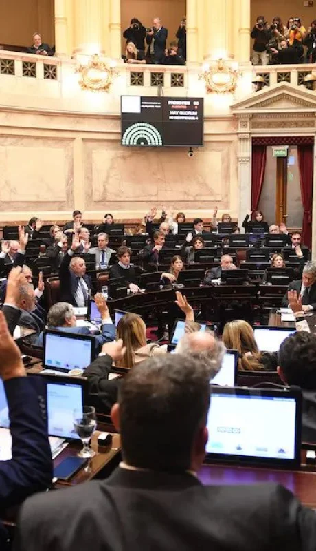 Amplio respaldo del Senado a la reforma de la Ley de DNU.