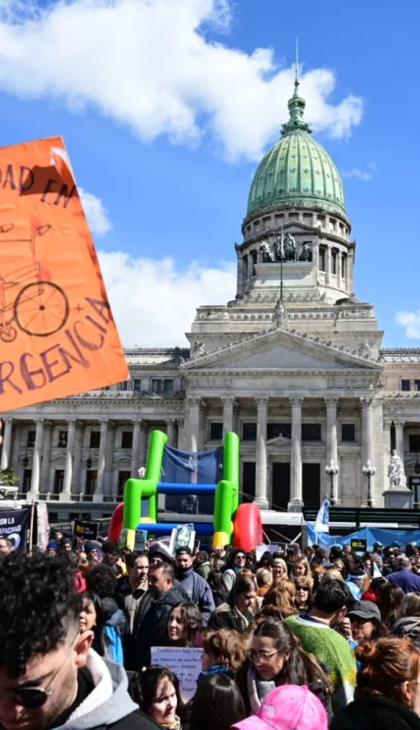 Festejos frente al Congreso por el respaldo a la Ley de Emergencia en Discapacidad. (Imagen: X)