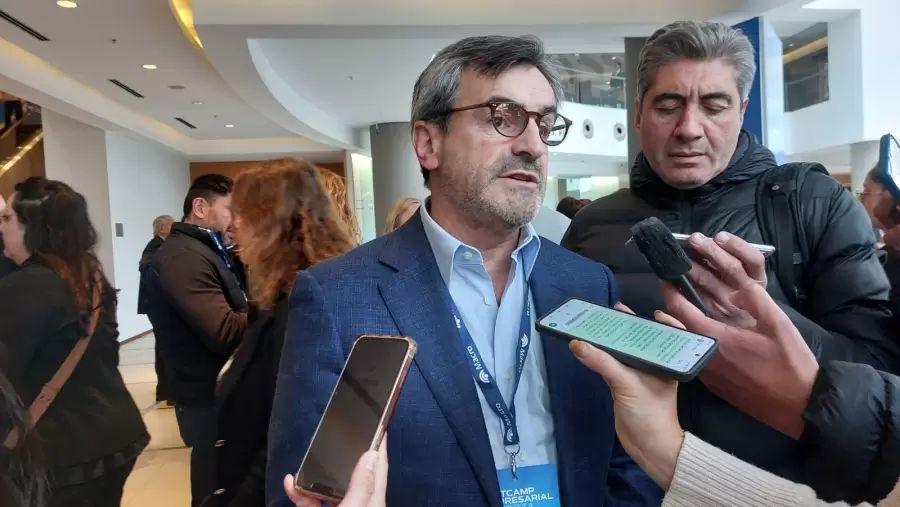 Titular de la UIA, Martín Rappallini.