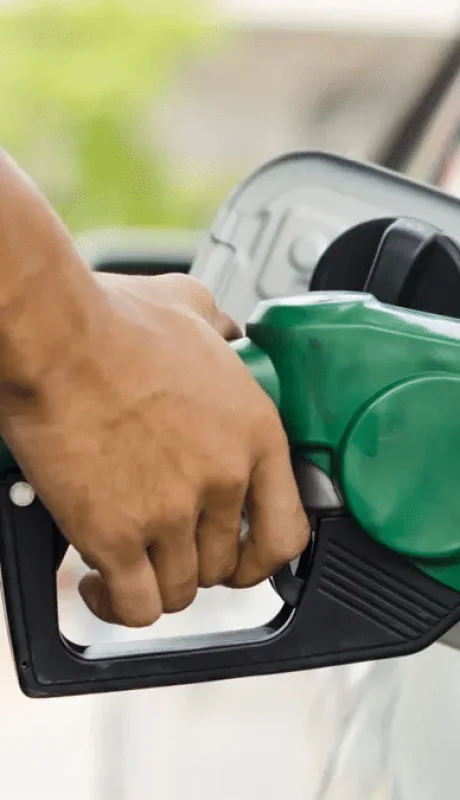 Imagen ilustrativa (web)