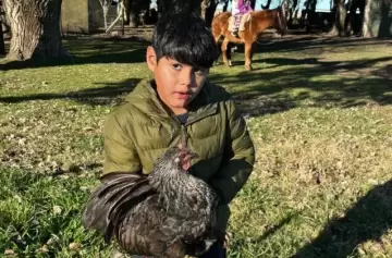 Desesperada búsqueda en Olavarría: activan el Alerta Sofía por un niño de 8 años desaparecido