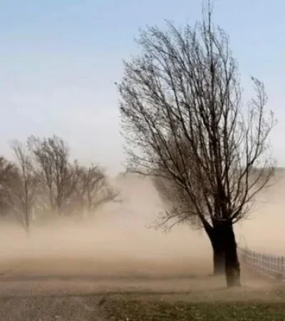 Viento Zonda en Mendoza /Fuente: Web