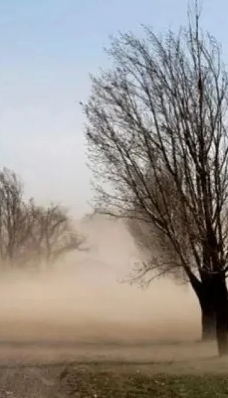 Viento Zonda en Mendoza /Fuente: Web