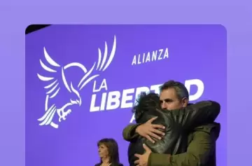 Foto en Instagram y fuerte respaldo del presidente Milei a Martín Menem