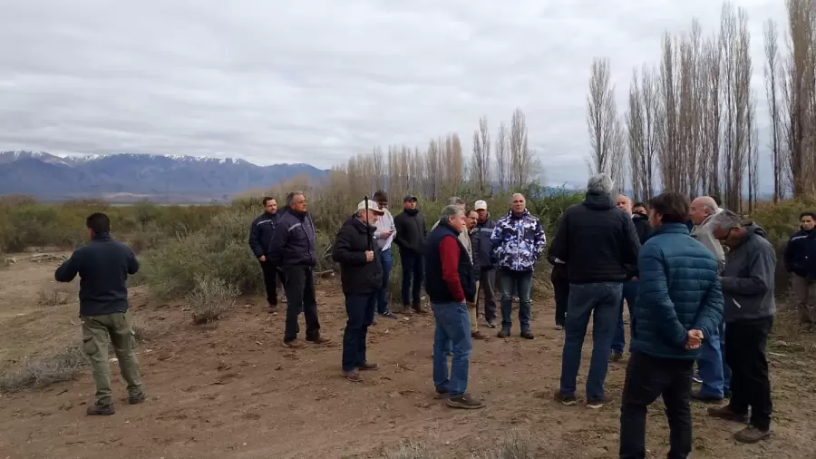 Conoce cómo participar de la licitación.