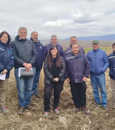 Irrigación busca modernizar el Sistema Yaucha-Presurización Rama Dumas, en San Carlos.