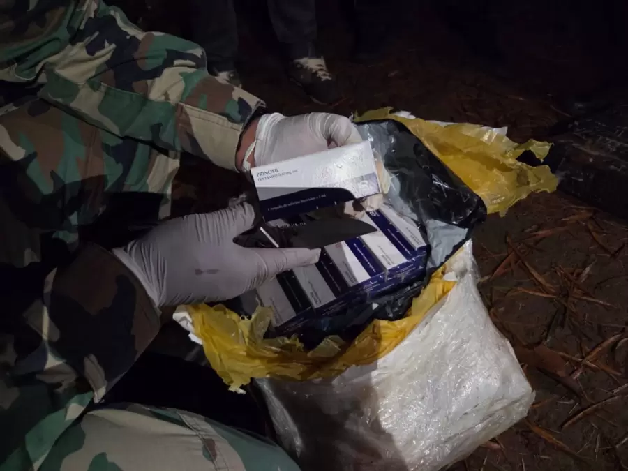 Fuente: Ministerio de Seguridad de la Nación