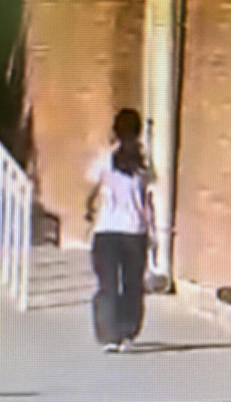 Tremenda imagen de la nena armada en escuela de La Paz. (Captura de video)