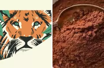 De la vid al grano: el mendocino que revoluciona el café de especialidad