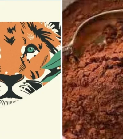 Los secretos del café que los argentinos están empezando a descubrir.