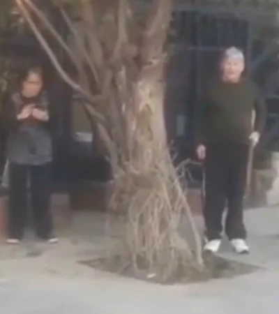 El hombre que disparo. /