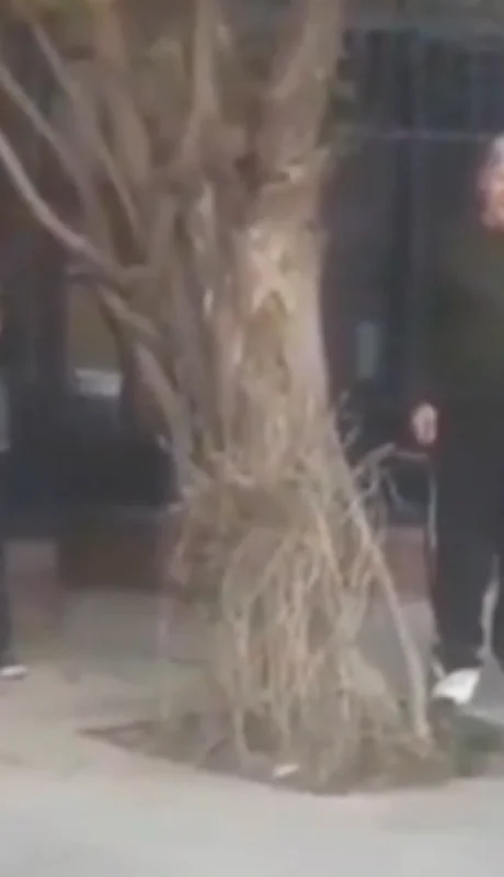 El hombre que disparo. /