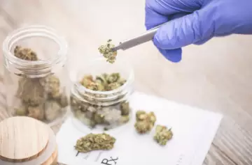 Mendoza avanza con la ley de cannabis medicinal y cáñamo industrial