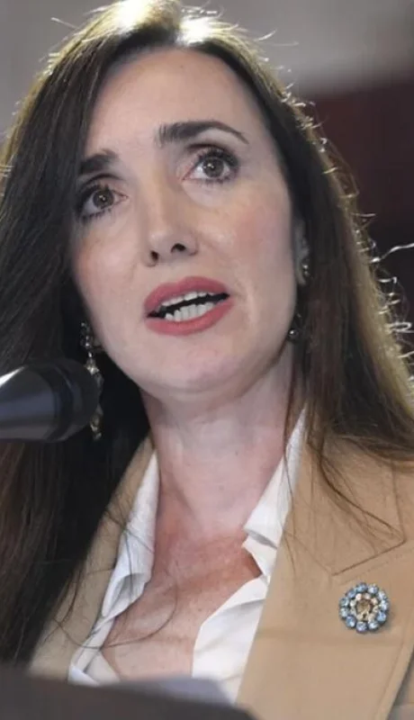 "Inquietante". La palabra que incluyó Villarruel en su posteo.