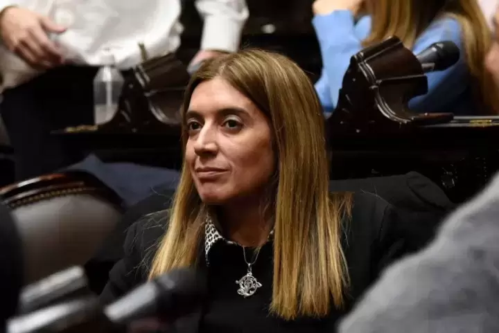 "De Milei no espero mucho más que absoluta distancia e insensibilidad con lo que transitan los argentinos" (D. Tavela)