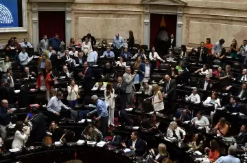 Así se expresaron los diputados por Mendoza sobre los vetos de Milei