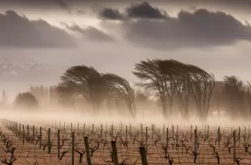 Viento Zonda y nevadas en Mendoza: el pronóstico completo