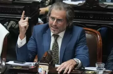 Benegas Lynch: "En el Congreso hay trogloditas que no tienen convicciones"