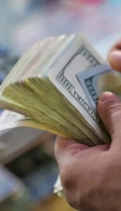 Daniel Garro, economista, afirmó que la crisis argentina es principalmente política y criticó el sistema bancario de encaje fraccionario.