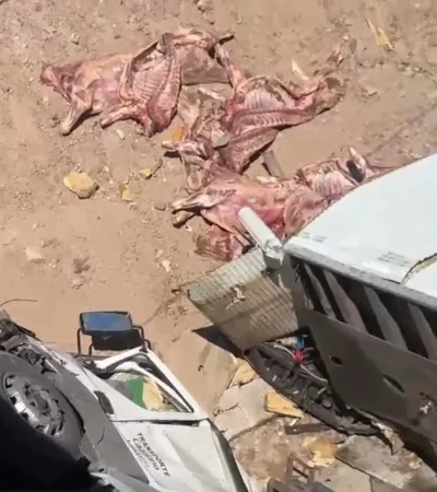Especialistas remarcaron que esa carne no puede consumirse debido a que perdió la cadena de frío durante horas. /