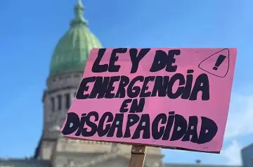 El Ejecutivo evadió la Ley de Discapacidad y abrió un debate constitucional