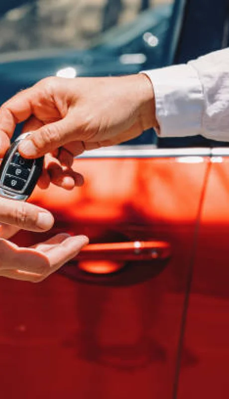 Es importante revisar toda la información del vehículo y el dueño antes de firmar la transferencia.