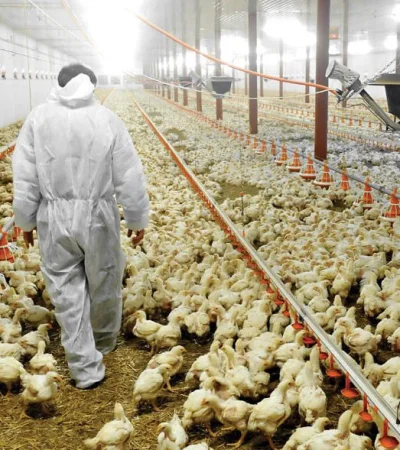 Industria en crecimiento