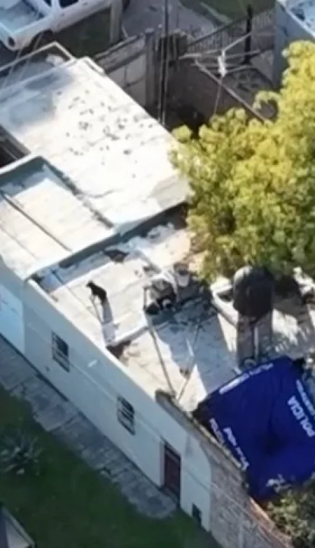 Los rastrillajes en la casa en la fueron encontrados los dos cuerpos/ Fuente: X de Mauro Szeta