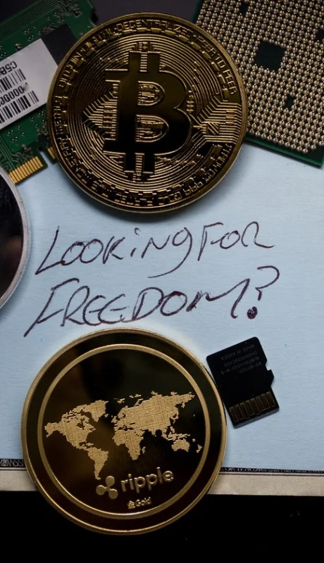 Paridad frente al dólar y al oro        /