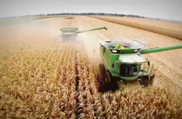 El agro ya rebasó las 11 millones de toneladas exportadas tras las retenciones cero