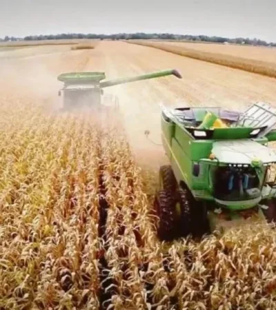 La estrategia del Gobierno para que el campo liquide rápido y haya fluidez de dólares empezó con una buena proyección.